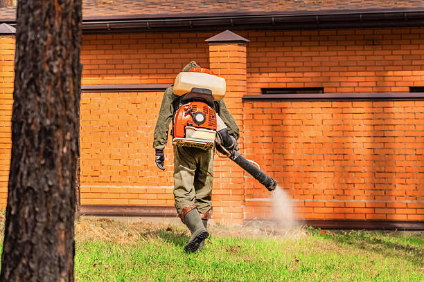 Top rated local Mosquito Control specialists in Moscow Mills, MO
